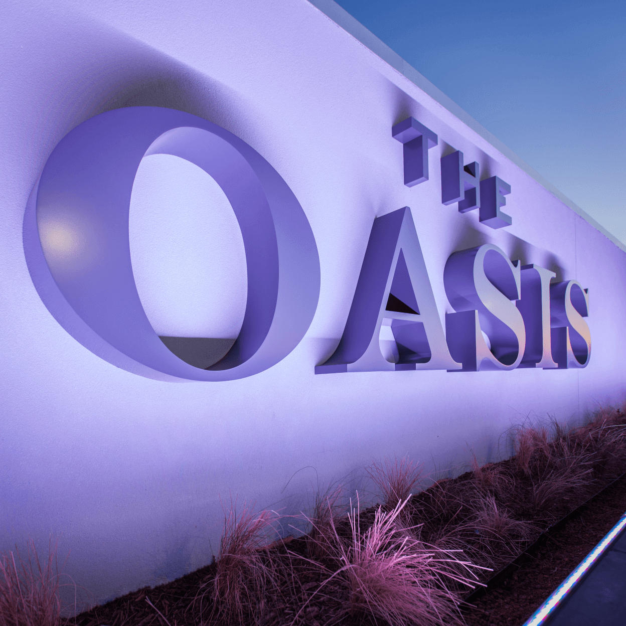 Oasis_5